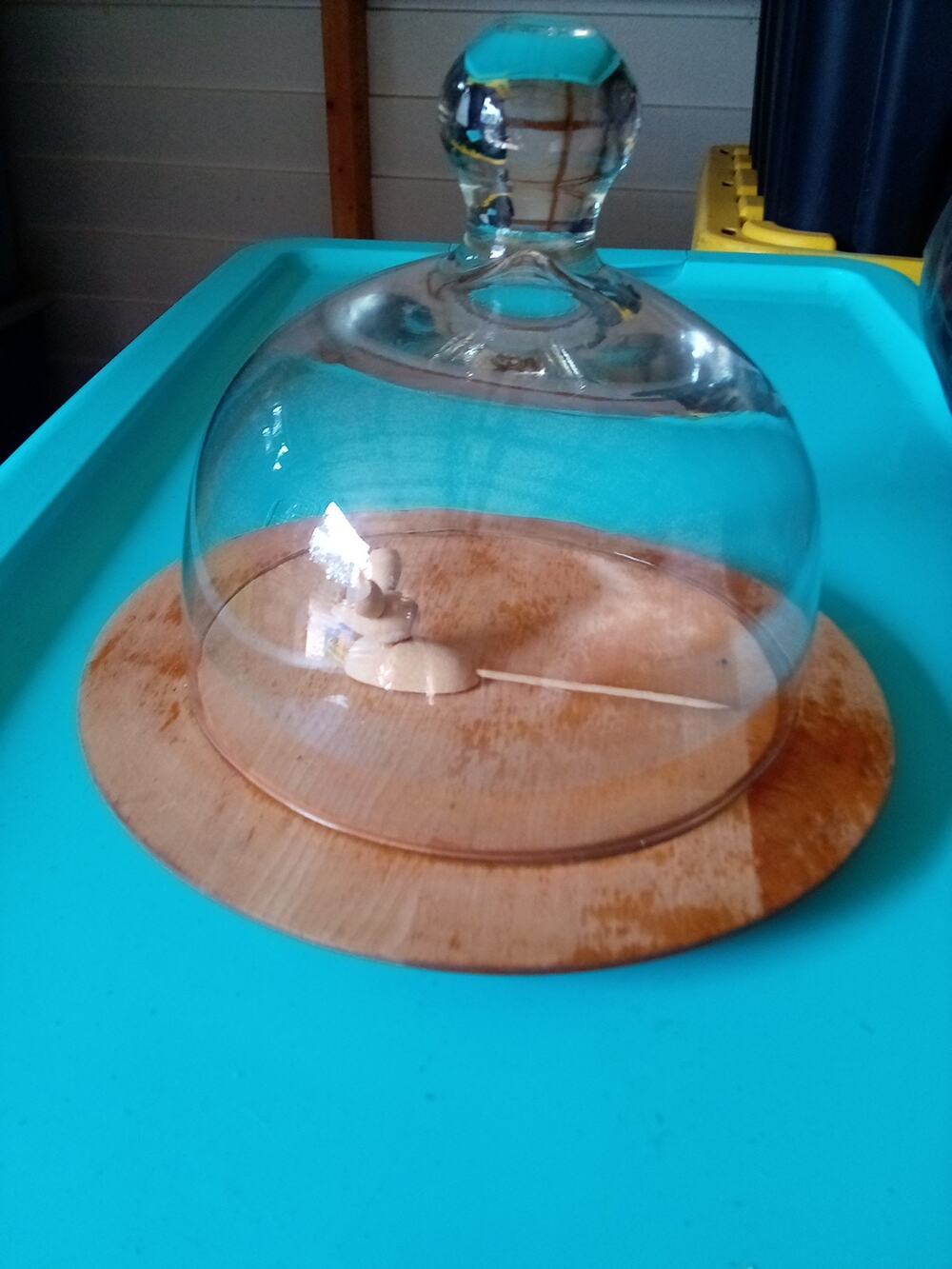 Vintage Wooden Cheese Clouche W/ Glass Dome And Mouse Toothpick
